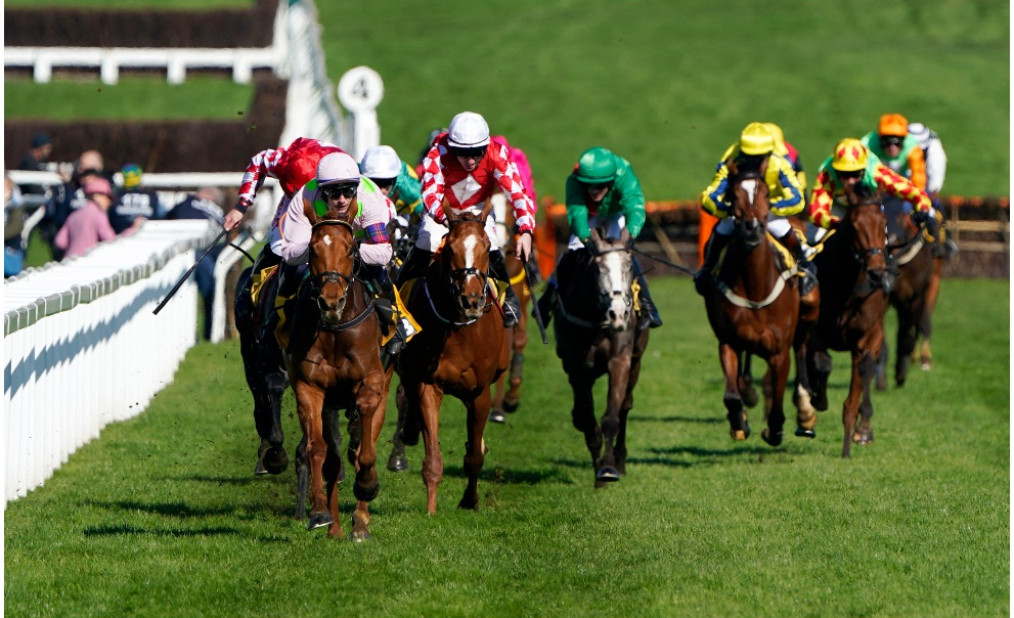 racing at the punchestown festival