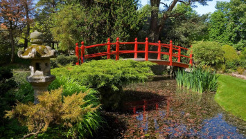 Japanese gardens red bridge - Things to do in Kildare