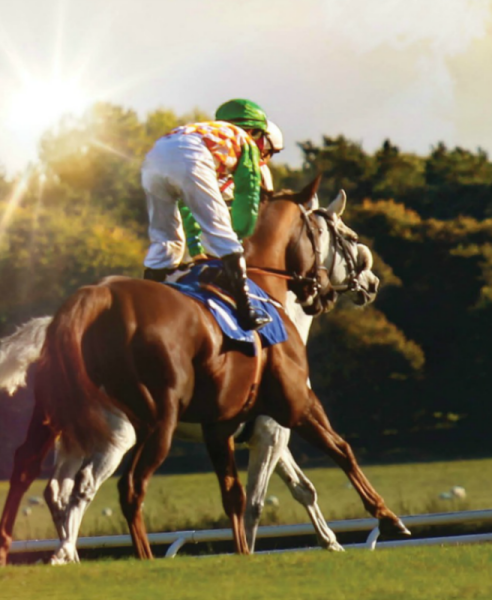 Curragh Racecourse in Kildare 