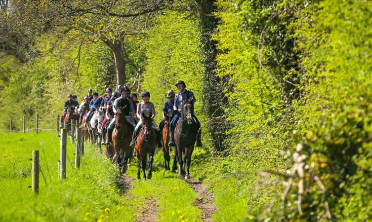 Horse riding in Abbeyfield Farm