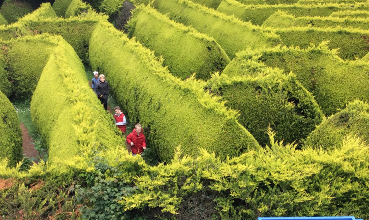 The Kildare Maze