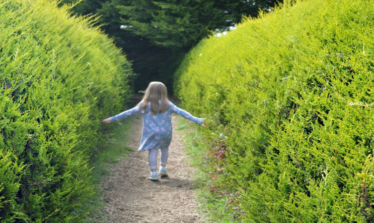 Hotels near Kildare Maze