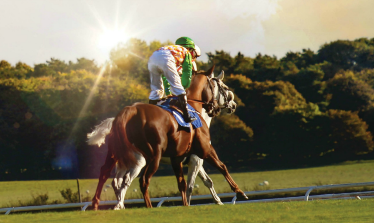 Upcoming events - Image of Punchestown Race Course