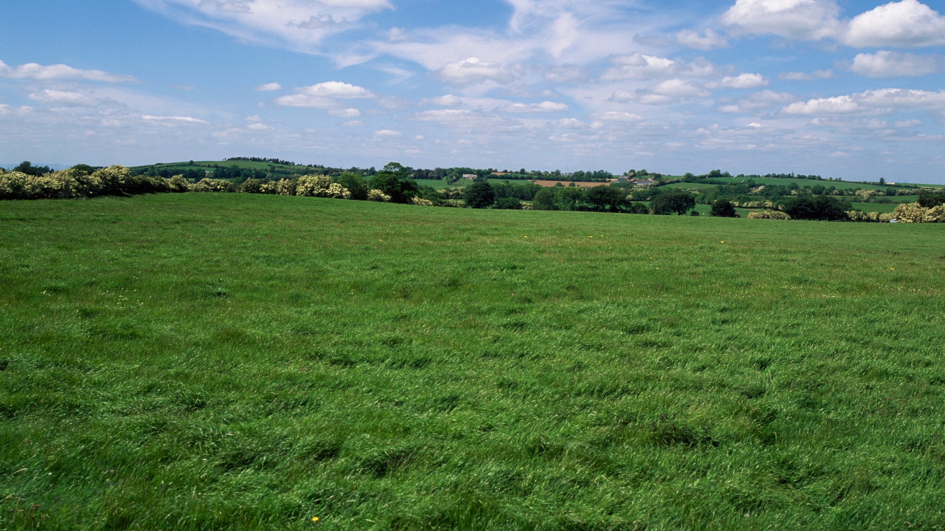 Sustainability Header 1920 x 1080 - Glenroyal Hotel