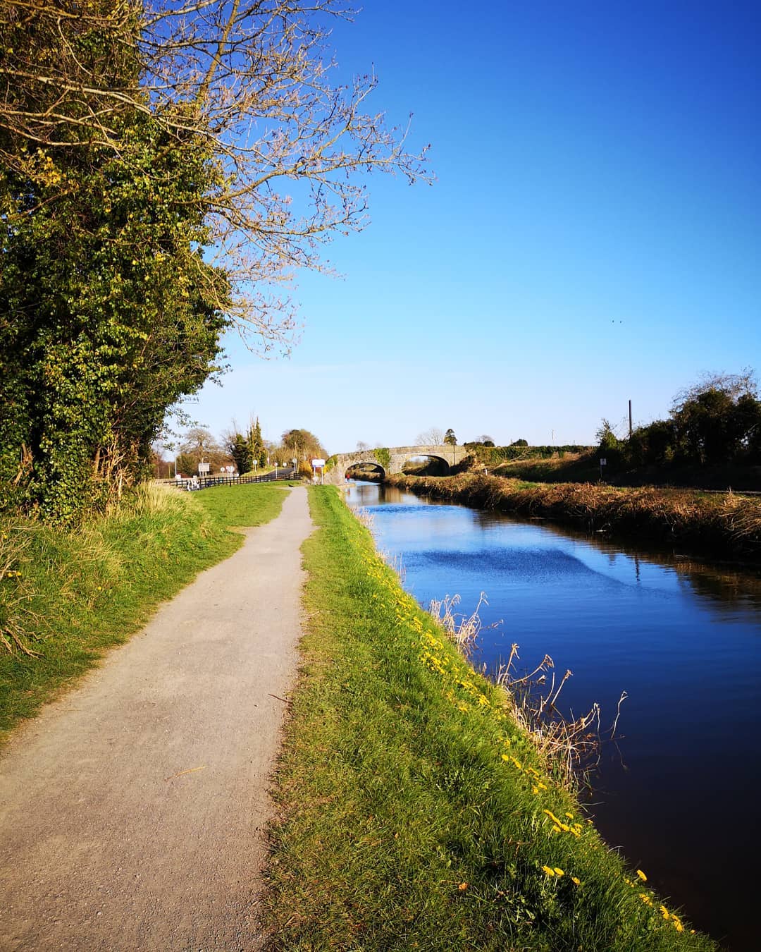 royal canal glenroyal hotel - Glenroyal Hotel