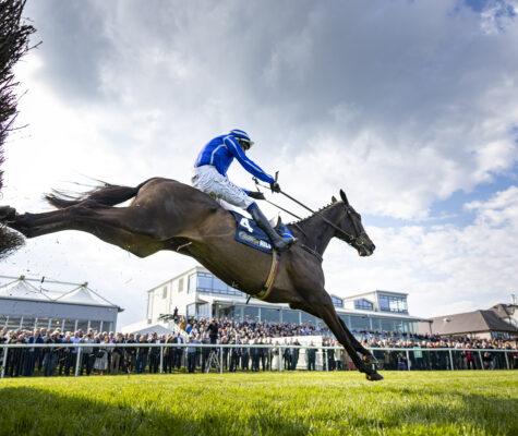 Energumene to defend William Hill Champion Chase Title - Glenroyal Hotel