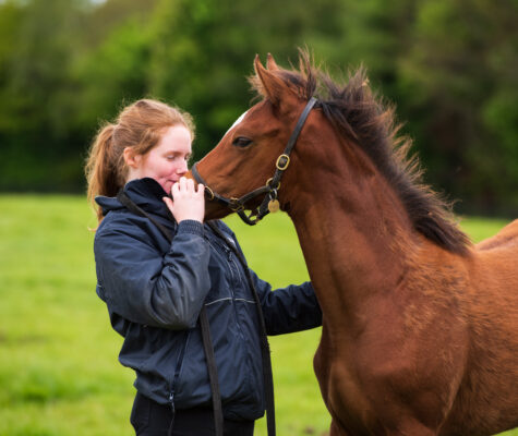 Staff Guirys II 11265 - Glenroyal Hotel