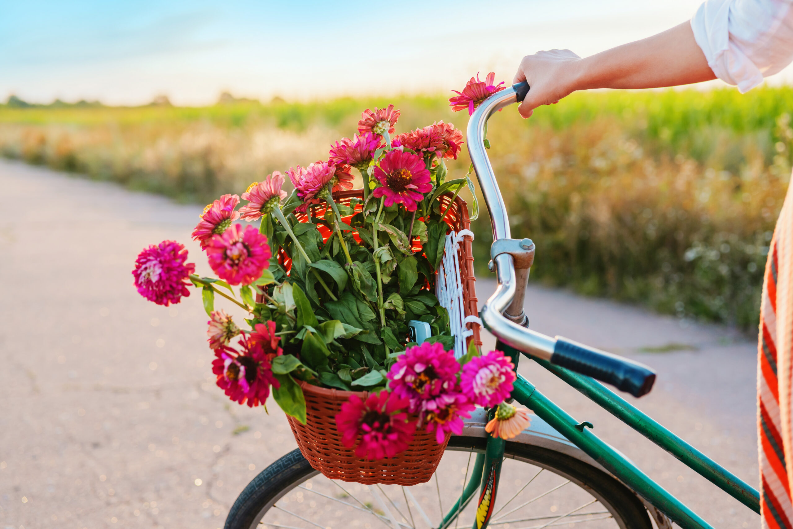 shutterstock 2671589179 spring flowers bicycle blue sky scaled - Glenroyal Hotel